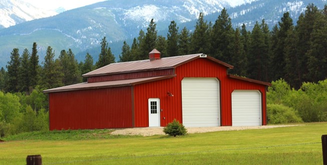 Are Steel Buildings in Wyoming a Safe Home for Turkeys?